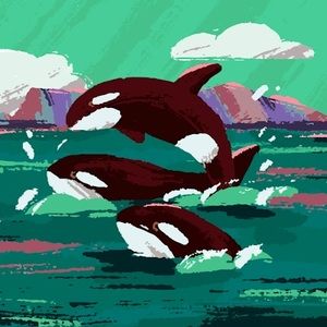 Meet your Posher, Nik